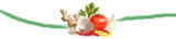 sbfg sbfg